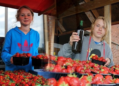 Jordbærsalg 2011