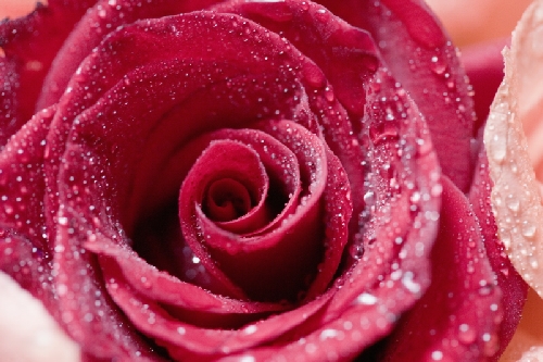 Morsdagshilsen på MysenPosten